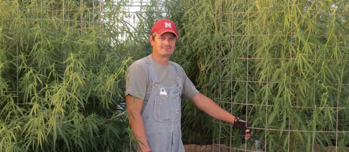 Mr. Hughes standing in front of his cannabis plants